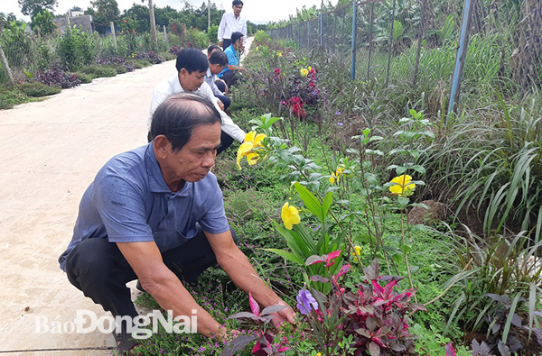 Xuan Loc strives to complete advanced criteria of new rural building
