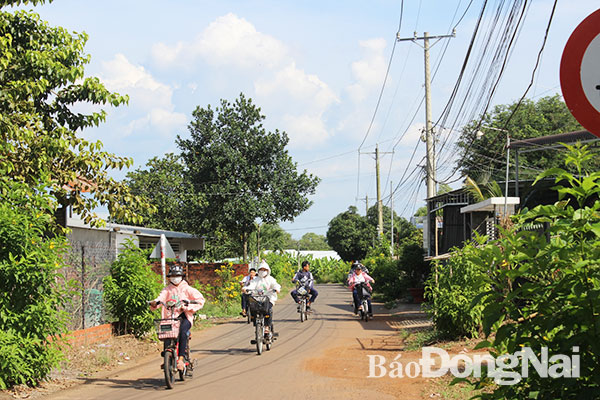 Một tuyến đường giao thông nông thôn tại xã Gia Tân 3 (huyện Thống Nhất)