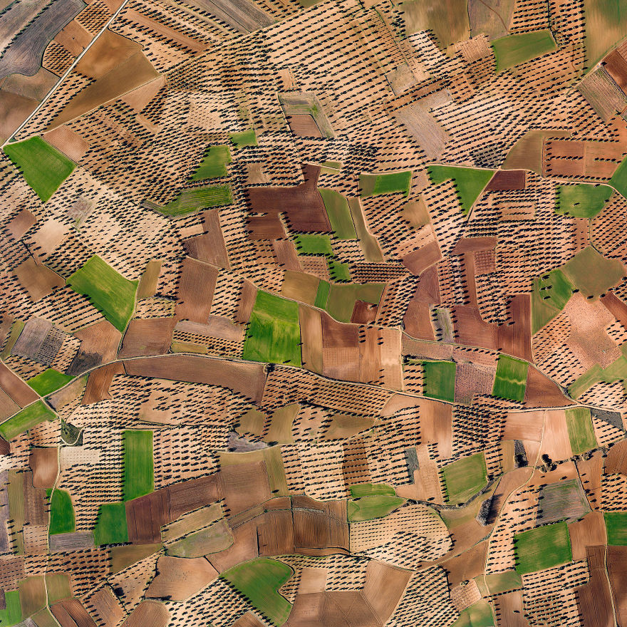 Dry Spanish farmlands