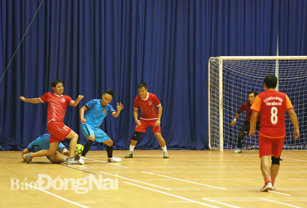 Ngày 19-11, khởi tranh Giải futsal  nam các CLB tỉnh Đồng Nai 2019