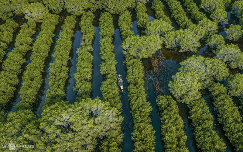 Discovering Bau Ca Cai mangrove forest