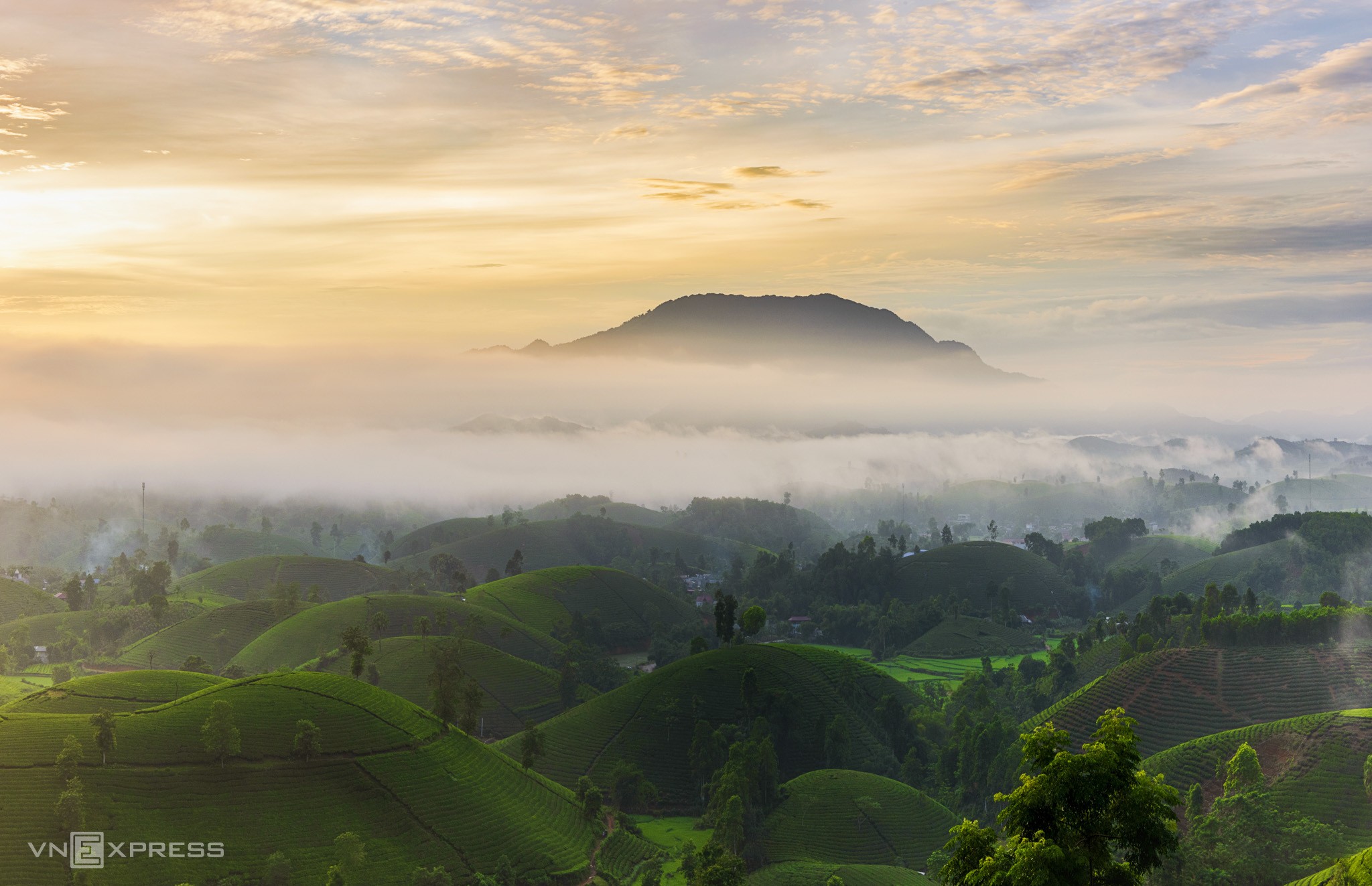 Long Coc tea hills turn lovelier as season change brings mist