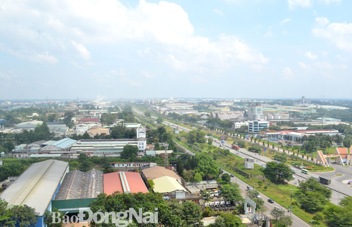 Việc di dời Khu công nghiệp  Biên Hòa 1 sẽ giúp bảo vệ môi trường nước sông Đồng Nai. Ảnh: Quỳnh Nhi