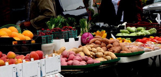 Ảnh minh họa. (Nguồn: biobiochile)