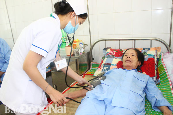 A dengue case in Long Thanh hospital.