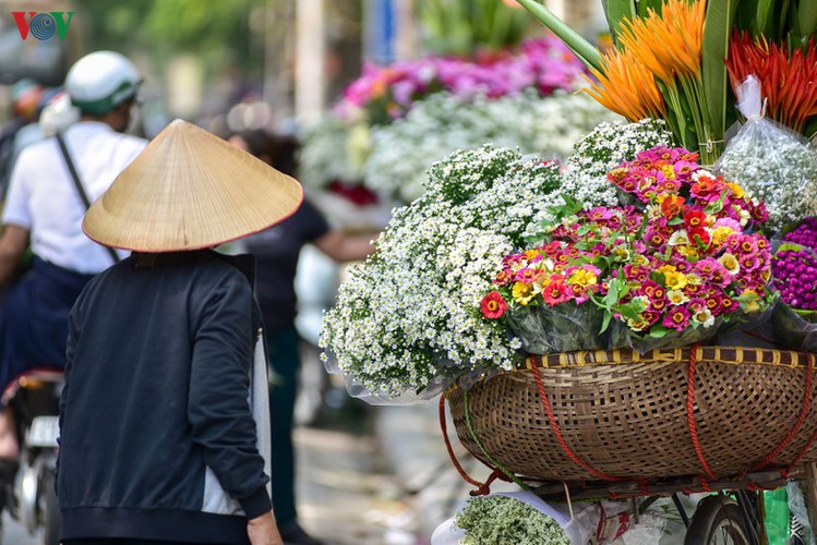 The capital sees several flower seasons over the course of the year, but the season for ox-eye daises often evokes strong emotions for local Hanoians.