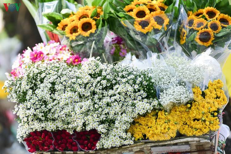 The gentle white colours of the flower enthralls many visitors.