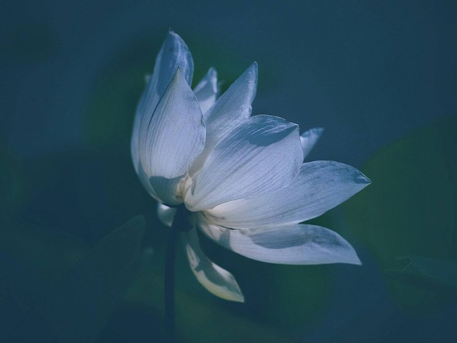 Light Journey photos