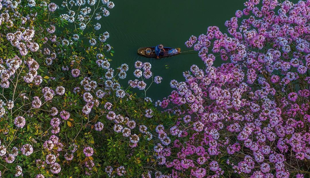 Vietnamese photographers turn NatGeo page turners