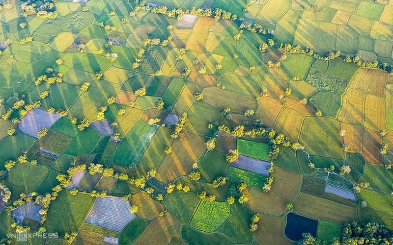 Exploring picturesque Ta Pa paddy fields from height