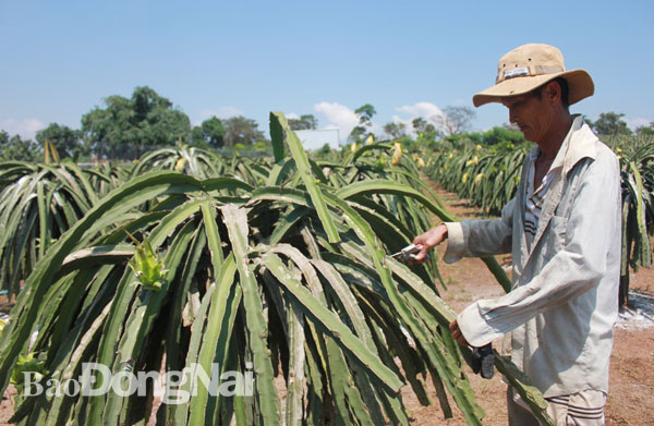 Không làm ngơ với biến đổi khí hậu