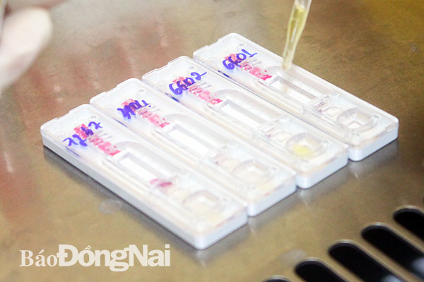 Que thử HIV bằng chất liệu nhựa đang được sử dụng tại Bệnh viện đa khoa Đồng Nai. Ảnh: H.Dung