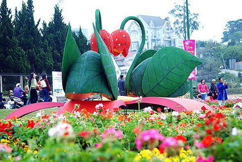 Colorful flowers are arranged during the festival. (Photo: baolamdong.vn)