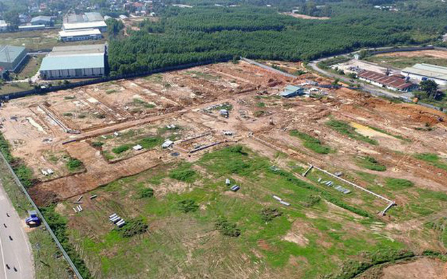   Rubber plantation ended for Long Thanh Airport Project