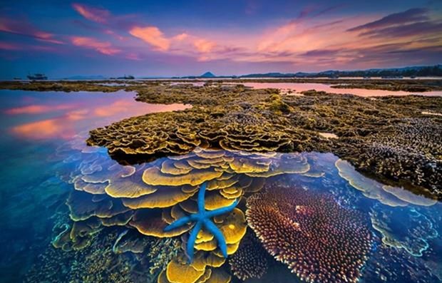 National tourism art photo competition launched