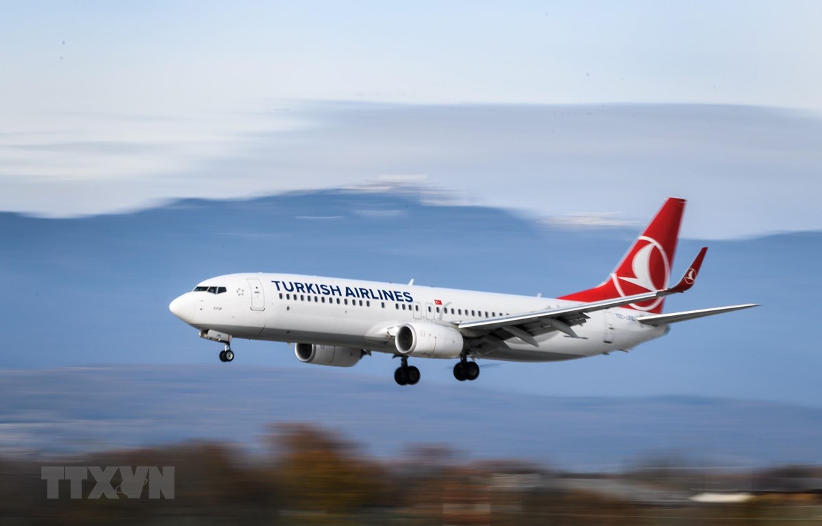 Máy bay của hãng hàng không Turkish Airlines. (Ảnh: AFP/TTXVN)