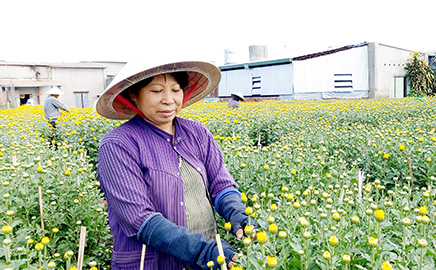 Muôn nẻo Xuân về