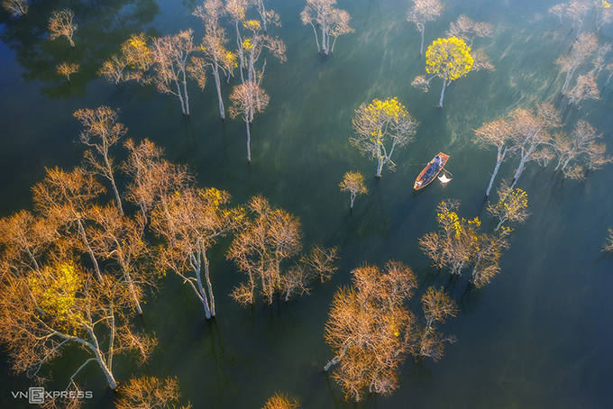 A man rows his boat between trees that rise of the waters.  Situated about seven kilometers south of Da Lat's center, Tuyen Lam is the largest freshwater lake in the Central Highlands town, with many small oases surrounded by pine forests. 