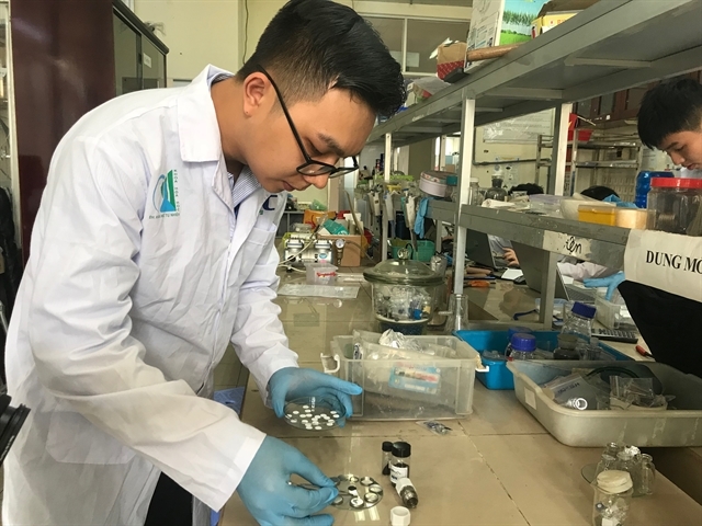 Vũ Tấn Phát, the leader of the team, makes battery prototypes from rice husks at the HCM City University of Science’s standard applied physical chemistry laboratory.