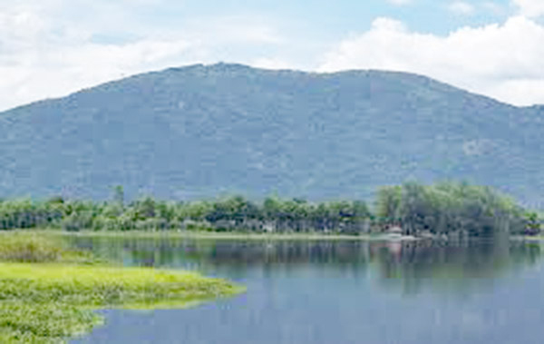 Nhân Ngày Thơ Việt Nam (15 tháng Giêng)