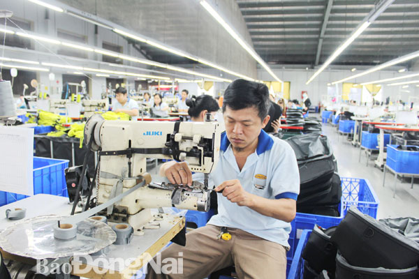 May mặc là một trong những mặt hàng có giá trị xuất khẩu lớn của Đồng Nai, cần tiếp tục được mở rộng thị trường