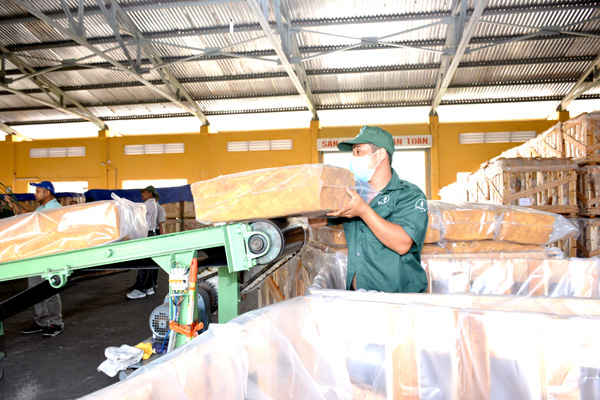 Phát huy vai trò lãnh đạo thực hiện tốt nhiệm vụ sản xuất, kinh doanh