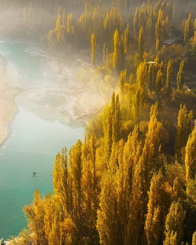"Colorful Nature" photographed by Aliawais. This aerial image of trees situated beside a lake appears like a scene taken straight from a Disney movie. Despite its epic display of nature, the photo was actually taken in Lahore, Pakistan.