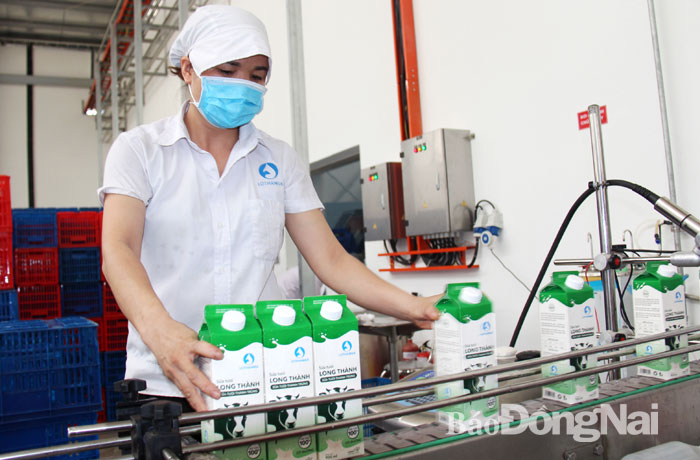 Khi doanh nghiệp đầu tư cho ''sân nhà''