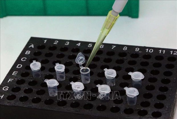 Many countries order made-in-Vietnam SARS-CoV-2 test kits