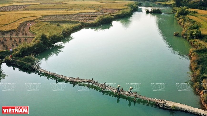 Farmers in Phong Nam commune carry harvested rice on a small wooden bridge over Quay Son river.