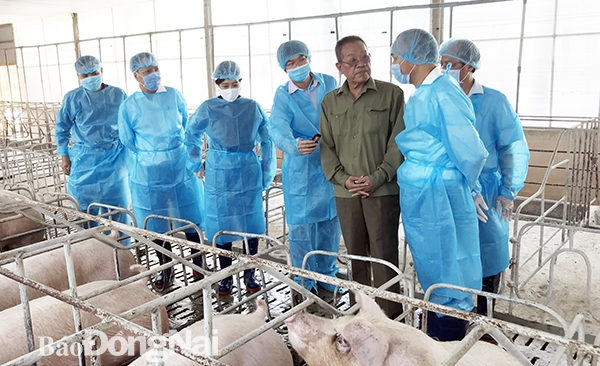 Thứ trưởng Bộ NN-PTNT Phùng Đức Tiến thăm trang trại nuôi heo Hoa Phượng tại xã Tân An (H.Vĩnh Cửu)