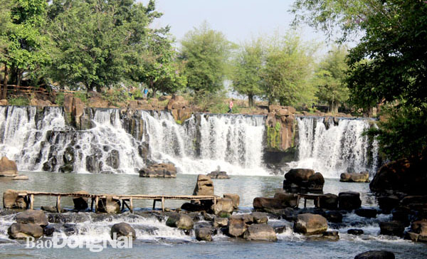 Khởi công Dự án Hồ chứa nước Cà Ròn xã Gia Canh huyện Định Quán