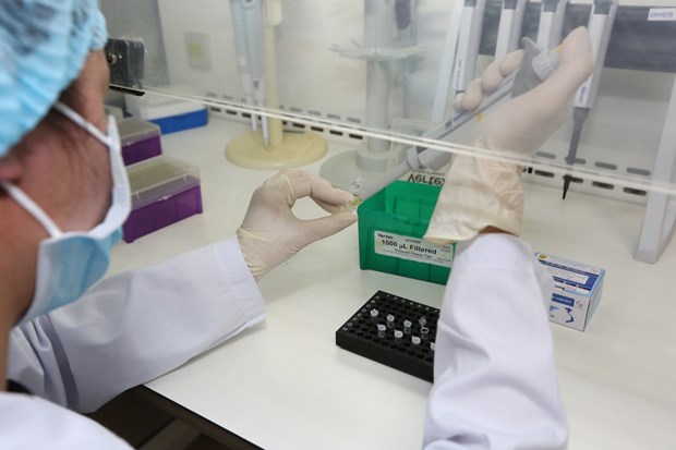 A health worker tests samples to seek the novel coronavirus SARS-CoV-2 (Photo: VNA)