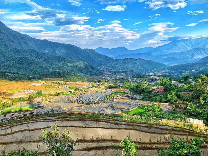 With an average height of over 2,000 meters above sea level, when coming to Y Ty, visitors can admire the vast and seductive perspective of ripe terraced paddy fields.