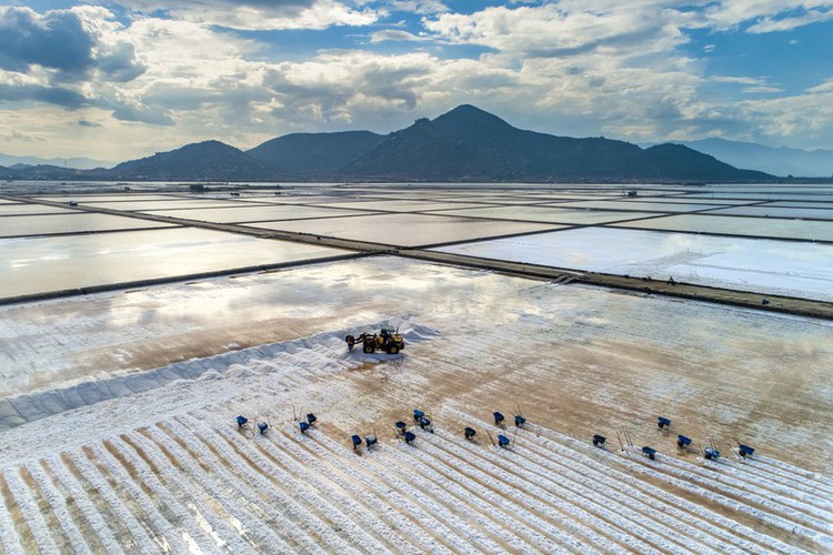 Ninh Thuan province is also famous for being home to the majority of the nation’s large salt fields.