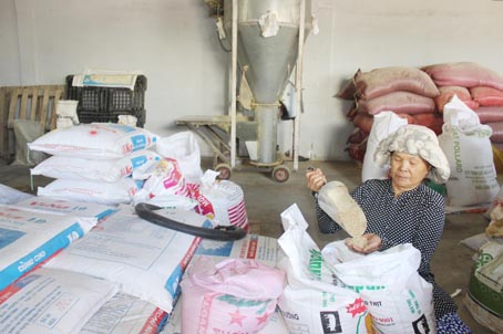 Chế biến thức ăn gia súc, gia cầm tăng trưởng trở lại