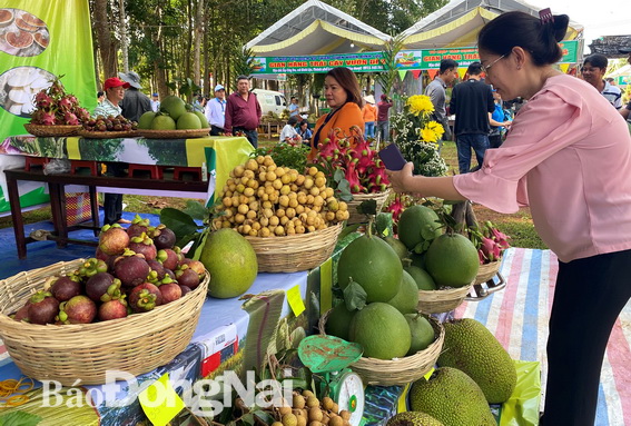 Khách du lịch tham quan gian hàng trái cây tại lễ hội