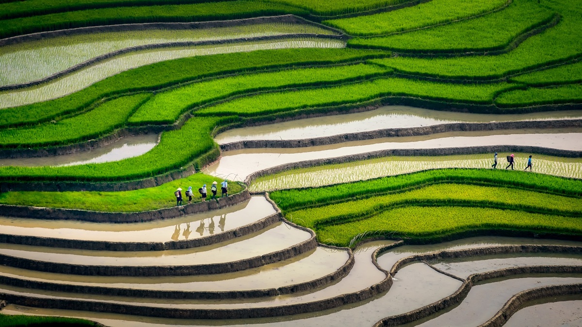 Farmers follow the terraced trail home after a long day’s slog.