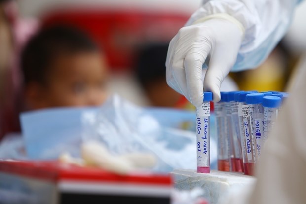 Samples taken for COVID-19 testing at the Hanoi centre for disease control (Photo: VNA)