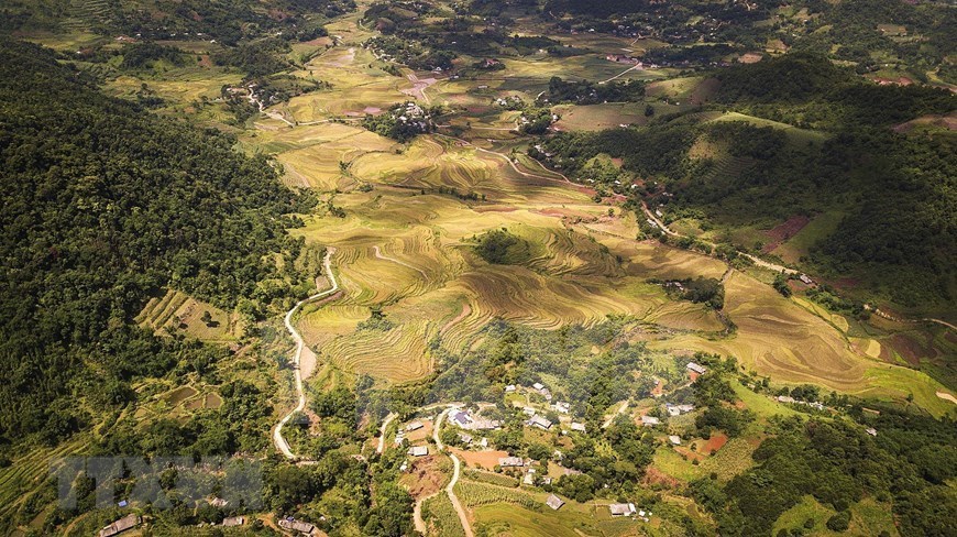 The terraced rice fields of Muong people in Thach Yen commune are expected to be an eco-tourism site to attract tourists.