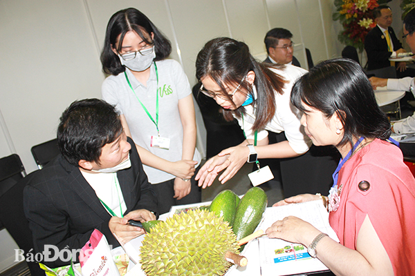 Bà Đặng Thị Thúy Nga, Giám đốc HTX Thương mại dịch vụ nông nghiệp Xuân Định (bìa phải) gặp gỡ các đối tác là doanh nghiệp nước ngoài tại hội nghị quốc tế về công nghệ sản xuất và chế biến rau, hoa, quả (HortEx Vietnam) diễn ra tại TP.HCM