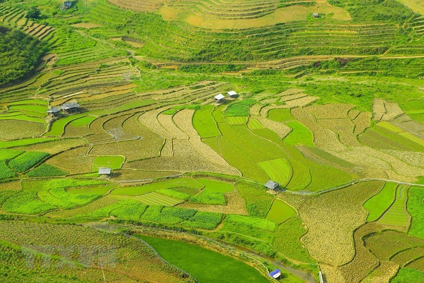 Terraced rice fields in the Northwestern region