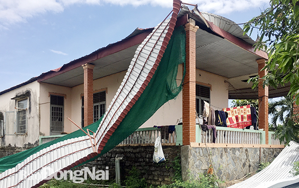 Whirlwinds damage houses, crops in Dong Nai