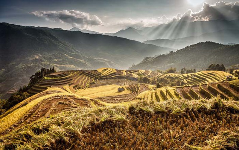 Ha Giang province as seen during the harvest season.