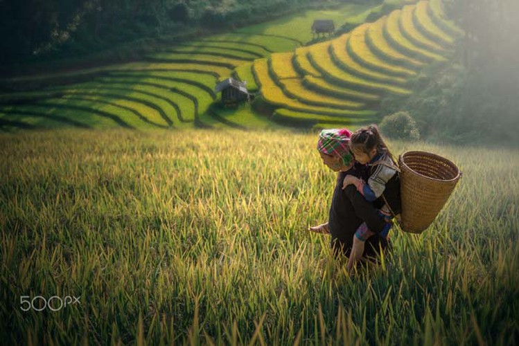 A daughter follows her mother to work on a terraced field.