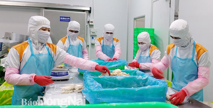 Sản xuất thịt gà xuất khẩu vào Nhật Bản tại Công ty TNHH Koyu&Unitek ở Khu công nghiệp Loteco (TP.Biên Hòa). Ảnh: Hương Giang