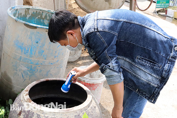 Dengue fever cases drop in first 6 months