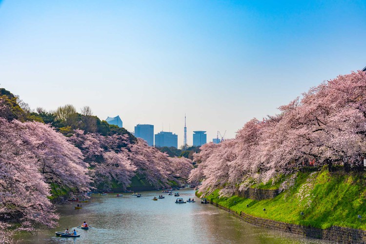 The Japanese capital of Tokyo ranks ninth.