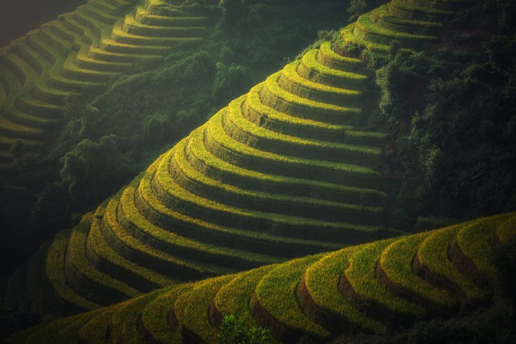 The vivid colours of the terraced fields are snapped by a foreign photographer.
