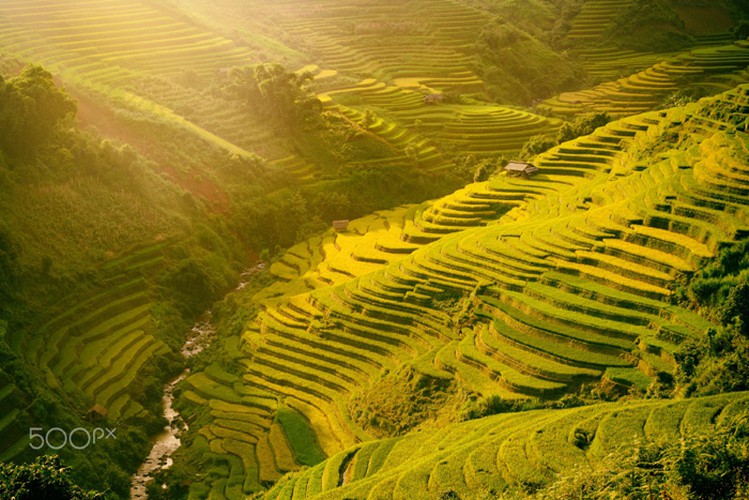 The terraced rice fields appear at their most beautiful during the months of April and May, as well as in September and October, each year. 